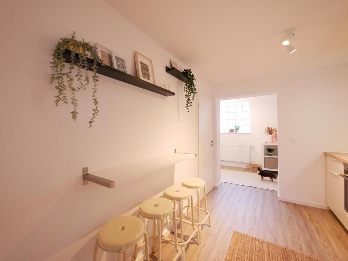 Appartement 75 M2, Zentral, Kueche, Balkon, Parkplatz à Osnabrück Extérieur photo